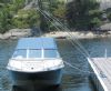 Mooring Whips