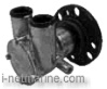 Indmar Raw Water Pump