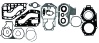  47-4416    689-W0001-04-00 YMH GASKET KIT